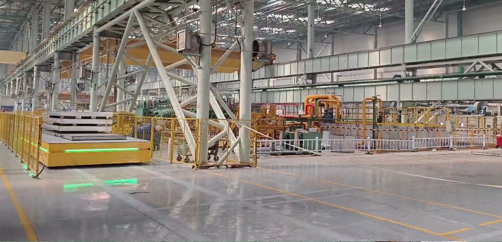 agv電動(dòng)平車1